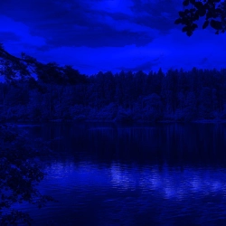 Александр Дегтярев