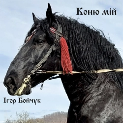 Ігор Бойчук