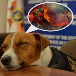 Леся Нікітюк