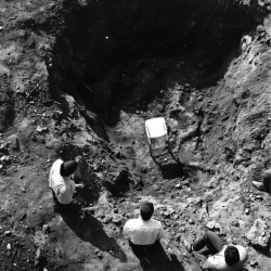 Исполнитель: Omeria