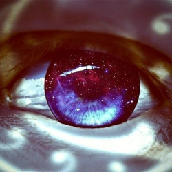 Исполнитель: Podval Capella