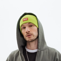 Исполнитель: Шершень