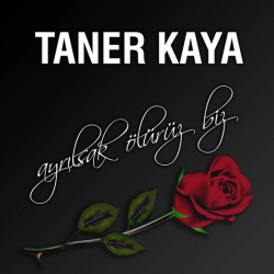 Taner Kaya