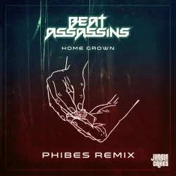 Beat Assassins & Phibes - Home Grown - Phibes Remix - Edit