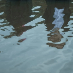 Бонд с кнопкой & Кишлак - Существо