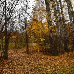 Ecveezer - Air - New Version