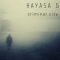 HAYASA G - Criminal City