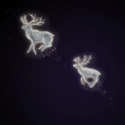 Najana & Marco Helmisaari - Tarina - Storyteller´s Joik