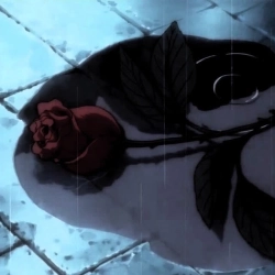 настрій не дуже - Троянди