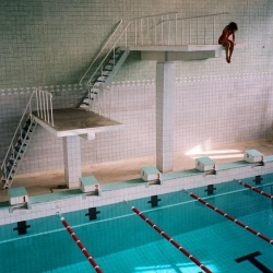 паліндром - Я маю крила