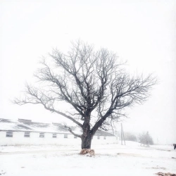 Сашко Дворецький & renie cares & Дусік & Moann - нема