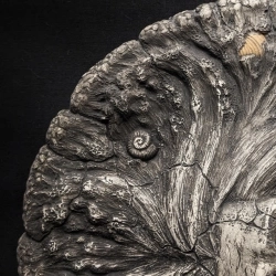 saymory & Max Smogol & Kostiantyn Rakovskyi - Up to You