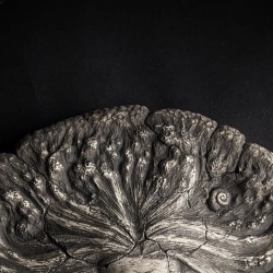 saymory - What Will Be