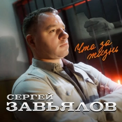 Сергей Завьялов - Что за жизнь