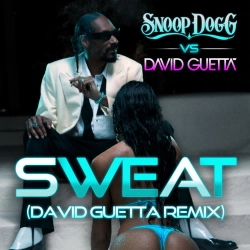 Snoop Dogg & David Guetta - Sweat - Snoop Dogg vs David Guetta Remix