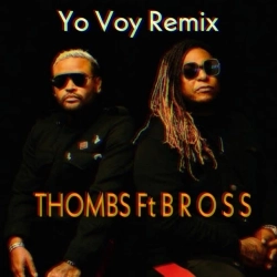 Thombs & B R O S S - Yo Voy (Remix)