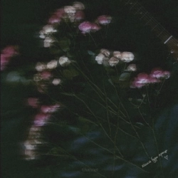 tihannet - дитячі мрії