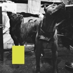 ТИСК - Відверто