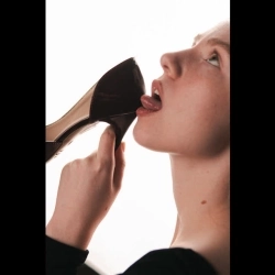 Tvoya Van - Капібара