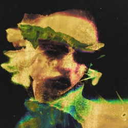 WHITE GALLOWS & The Limba - Stories